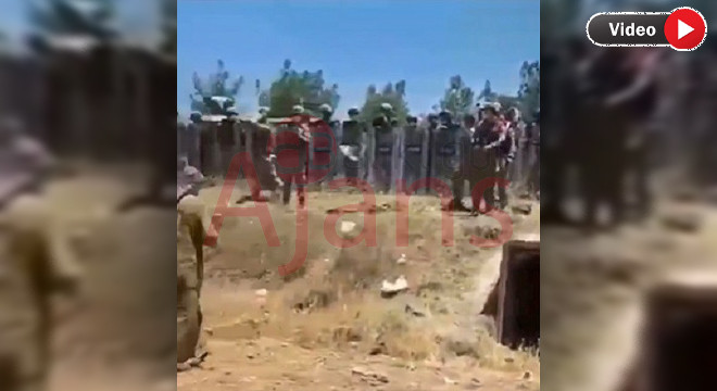 Ceylanpınar’da manzara aynı! Vatandaşlar hayvanlarını geri istiyor