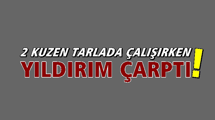 Mevsimlik tarım işçisinin feci ölümü!