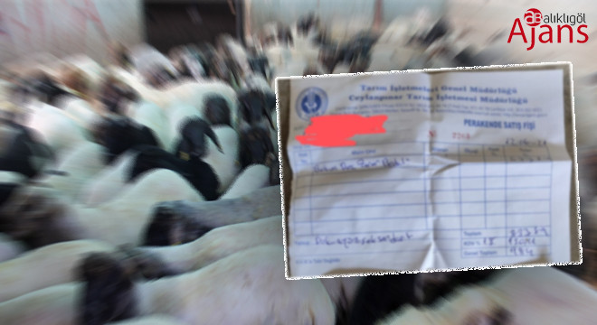 “Şanlıurfa’daki lüks oteller bile bu kadar para almaz”