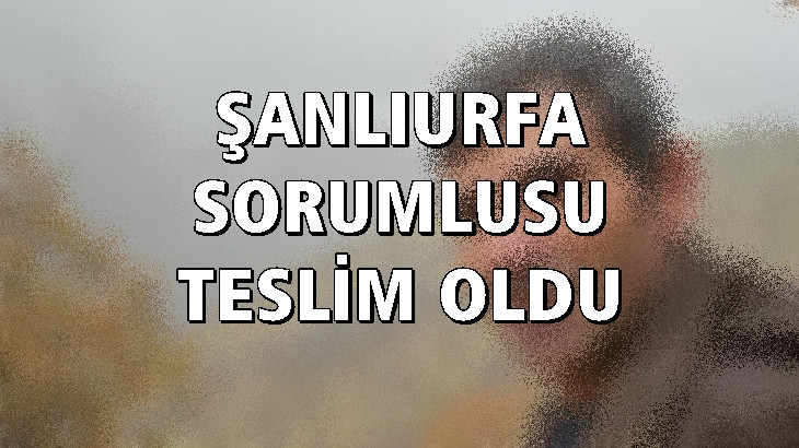 PKK'nın Şanlıurfa sorumlusu teslim oldu