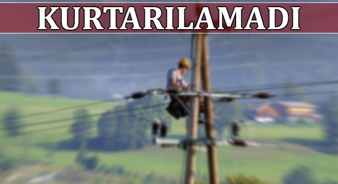 Eyyübiye'de iki kuzen akıma kapıldı