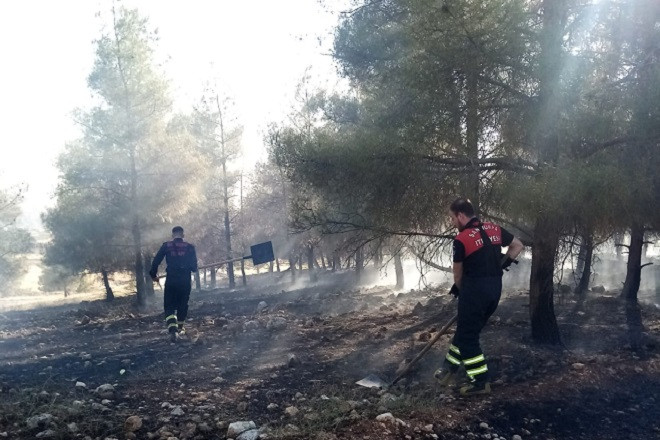 Şanlıurfa’da ormanlık alanda yangın