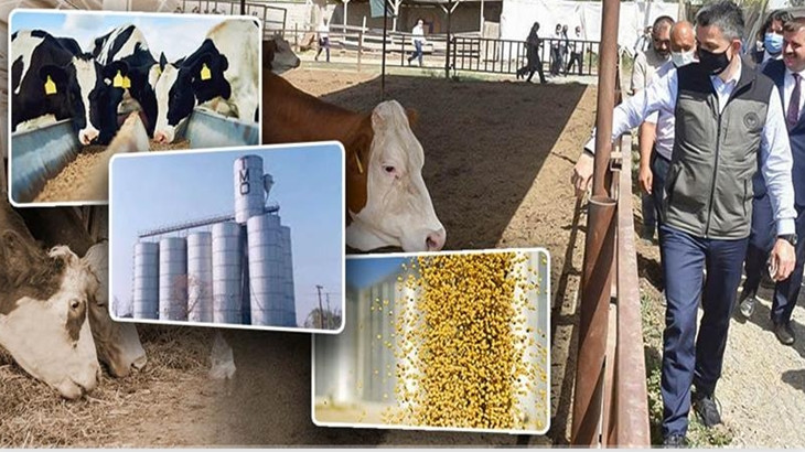 Bakan Pakdemirli: Üreticimiz daha düşük maliyetlerle üretecek