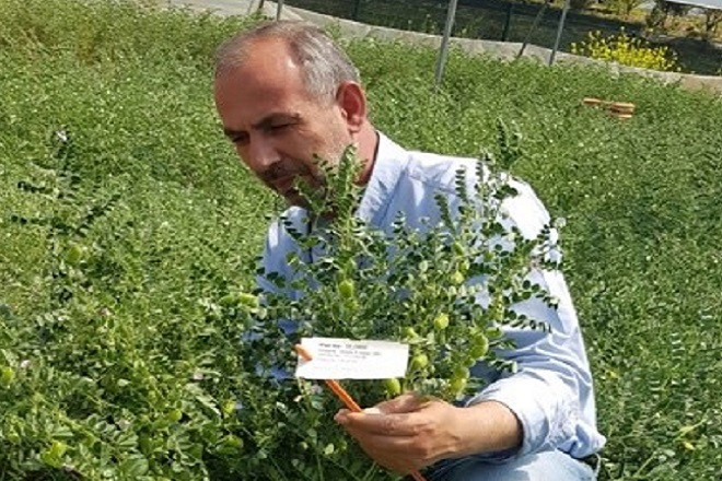 Tüm bölgeden topladılar! Daha dirençli ve çeşitli olacak