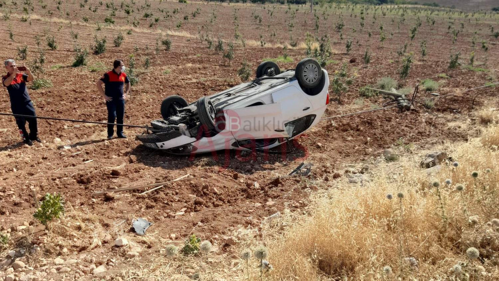 Bozova'da trafik kazası: Araç tarlaya uçtu