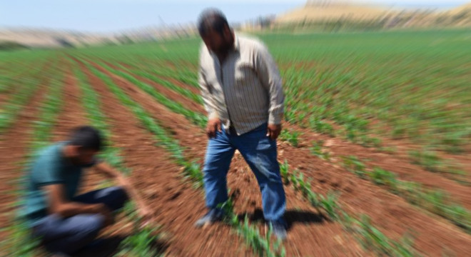 Şanlıurfa'da borcu olan çiftçiler elektriksiz kalacak