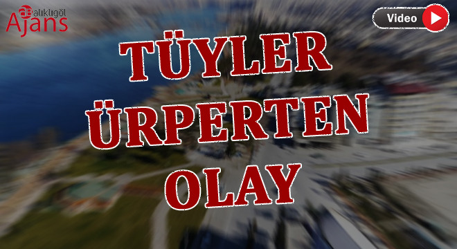 Şanlıurfa’da istismara uğrayan çocuk yaşadıklarını anlattı