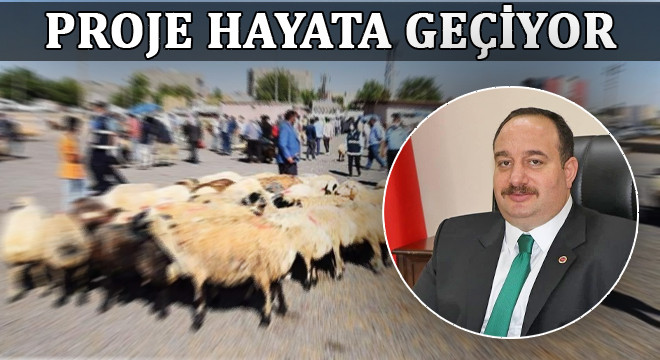 Viranşehir Belediye Başkanı Ekinci’den açıklama