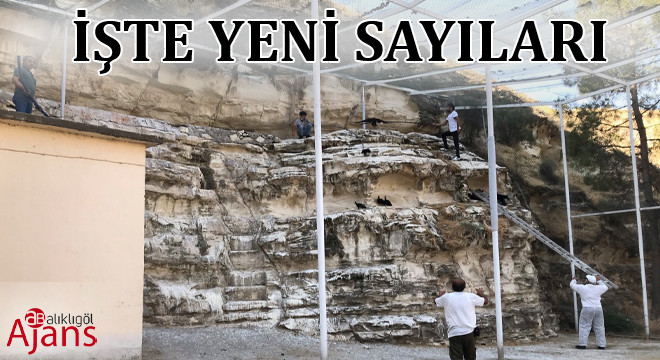 Şanlıurfa’da 2020’nin rekoru kırıldı