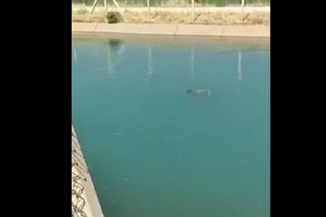 Şanlıurfa’da sulama kanalında ceset bulundu