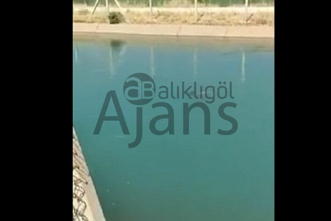 Kanalda cesedi bulunmuştu: Kimliği belli oldu