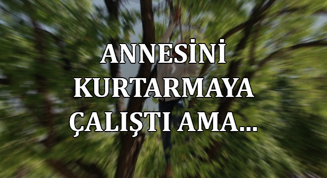 Şanlıurfalı mevsimlik tarım işçisinin feci ölümü