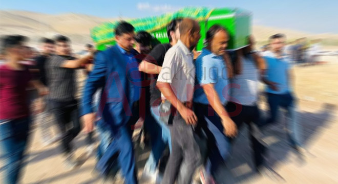 Şanlıurfa'da baba oğul kavgasında kan aktı