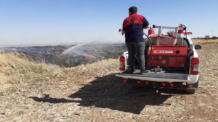 Suruç'ta arazi yangını: İtfaiye müdahale etti