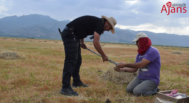 TÜBİTAK, Harran Üniversitesi’nin projesini destekleyecek