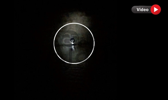 Bozova'da gizemli yaratık! Balıkçının kamerasına takıldı