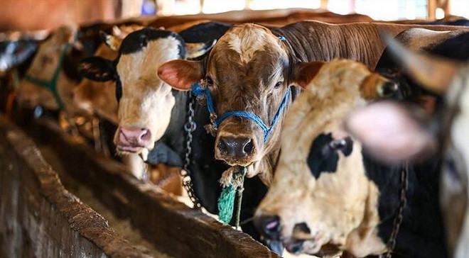 Bakanlık bayram öncesi uyardı!