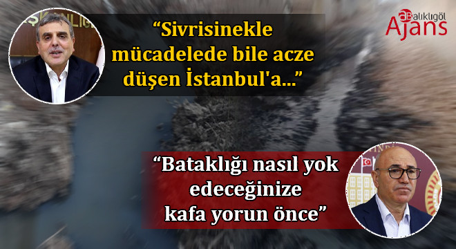 Tanal, ‘sivrisinek’ diyen Beyazgül’e ‘kanalizasyon’ ile cevap verdi