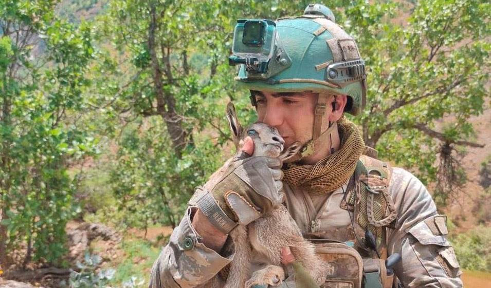 Mehmetçik'in yavru ceylan pozu takdir topladı