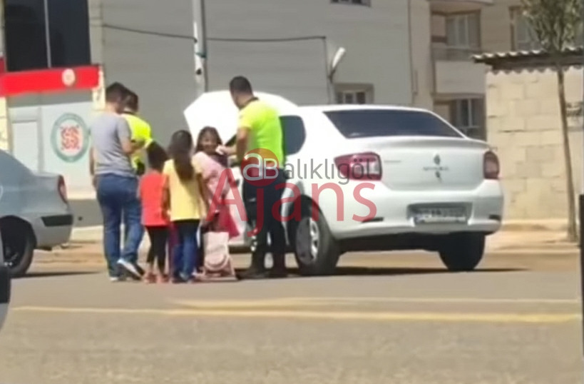 Bu güzel görüntü Urfa'da çekildi