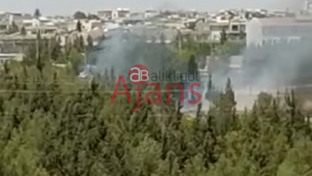 Viranşehir'de yangın! Ağaçlık alan zarar gördü