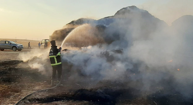TİGEM arazisinde TIR yangını