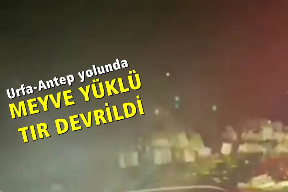 Meyve yüklü TIR devrildi: Trafik kilitlendi