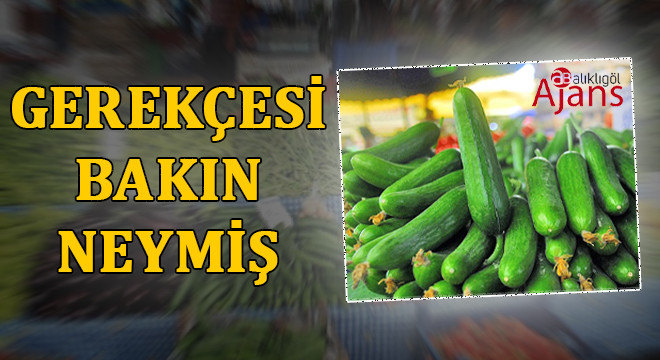 Şanlıurfa’da salatalığa zam