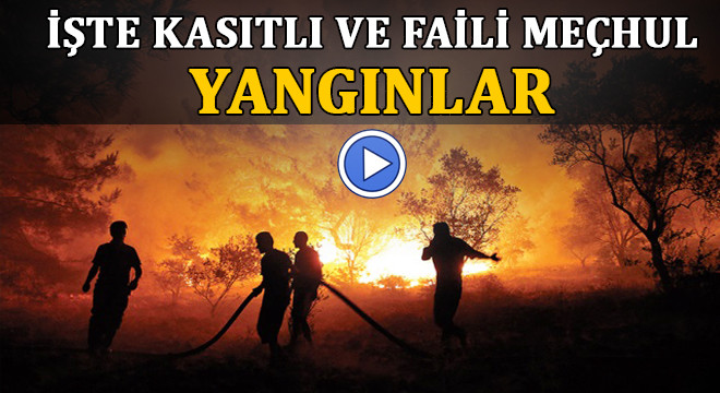 Türkiye’de son 10 yılda kaç orman yangını çıktı?