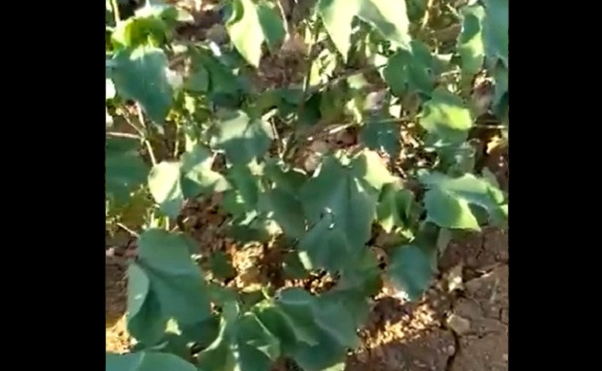 İl Başkanı Tüysüz: Ortak sorun pahalılık ve kesintiler