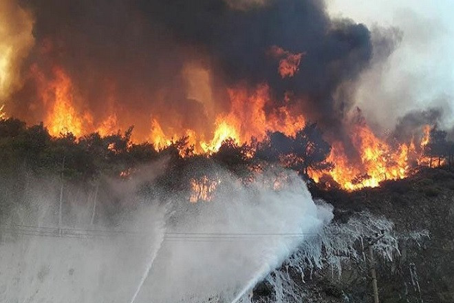 Orman yangınlarında son durum: Can kaybı 8'e ulaştı