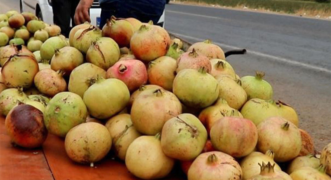 Suruç narı artık tescilli