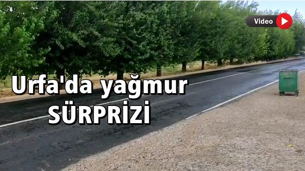 Şanlıurfa'nın ilçesinde yağmur yağdı