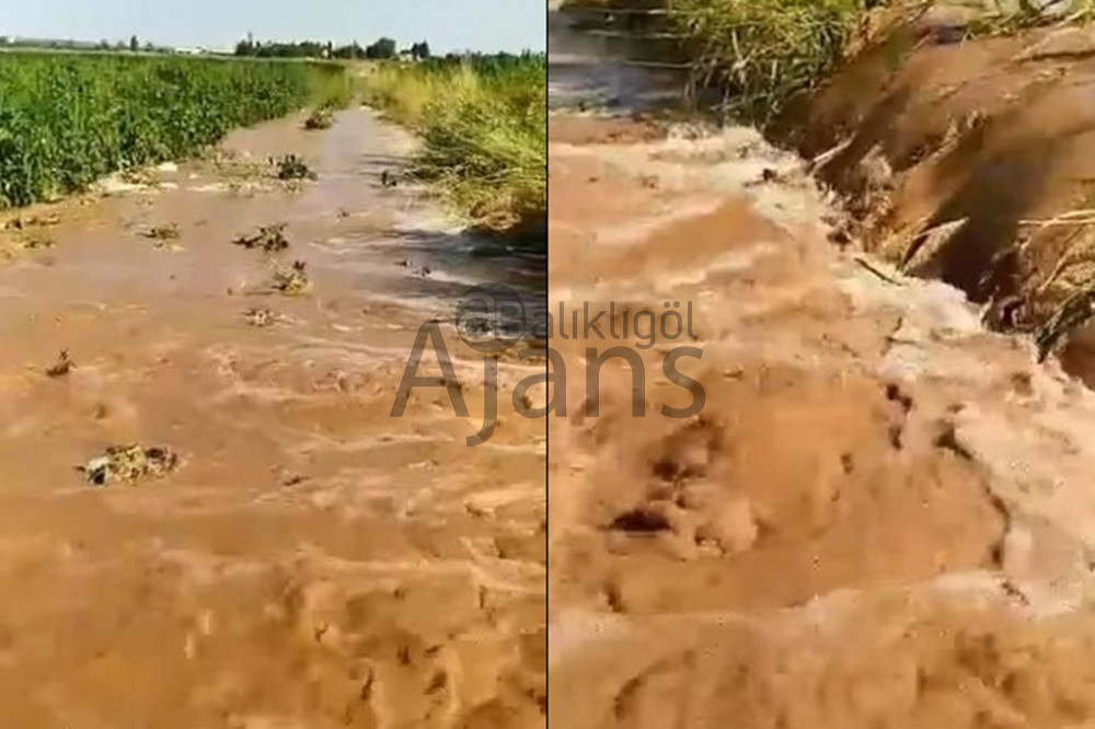 DSİ borusu patladı!Yüzlerce dönüm arazi suya gömüldü