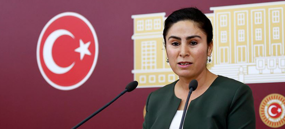 Vekil Sürücü'den Çatak önergesi: Doğru adım atılmamıştır