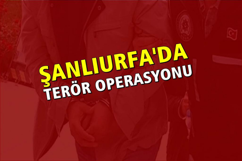 Terör faaliyeti yürüttükleri iddiasıyla gözaltına alındılar