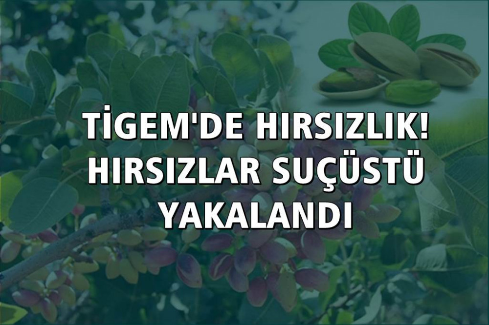 Hırsızlar TİGEM’e daldı! Çuval çuval sırtladılar