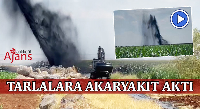 Şanlıurfa'da BOTAŞ'a ait petrol hattında sızıntı