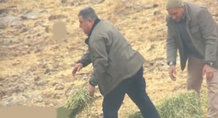 Aç kalan ceylanların imdadına ekipler yetişti