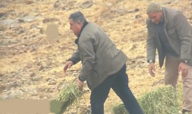 Aç kalan ceylanların imdadına ekipler yetişti