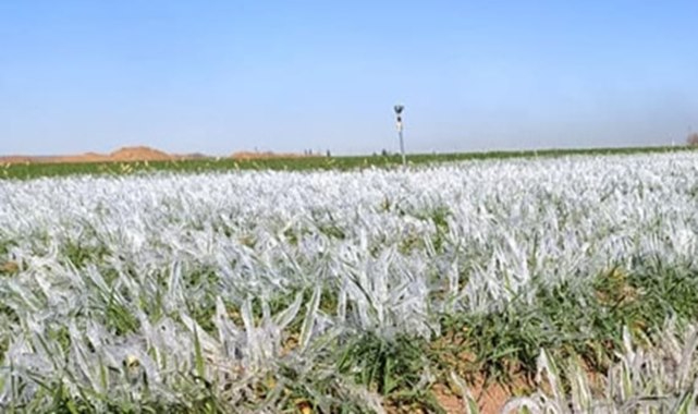 Çiftçilere önemli uyarı! Tedbirli olun