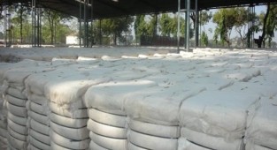 Güncel pamuk fiyatları belli oldu