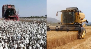 Güncel pamuk, hububat ve bakliyat fiyatları belli oldu