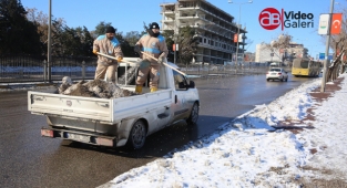 Haliliye’de karla mücadele çalışmaları bugün de sürdü