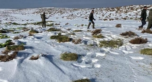 Hayvanlar aç kalmasın diye doğaya yem bırakılıyor