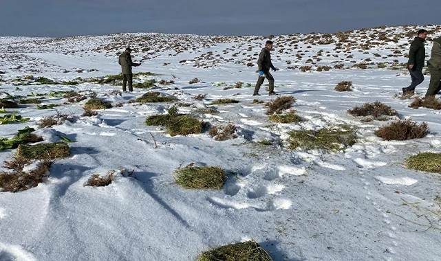 Hayvanlar aç kalmasın diye doğaya yem bırakılıyor