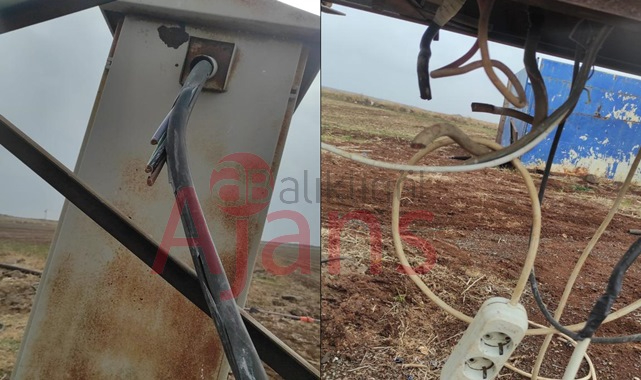 Hırsızlık olayları artıyor! Çiftçinin malına göz koydular