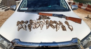 Jandarmadan kaçak avcı operasyonu