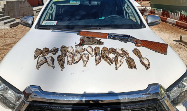 Jandarmadan kaçak avcı operasyonu