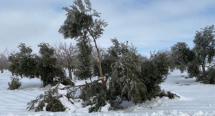 Karın zarar verdiği yerler afet bölgesi ilan edilsin